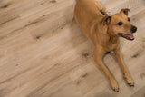 Vinyl Mute Step - Aged Hickory