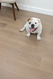 GeoWood Oak - Tawny Oak