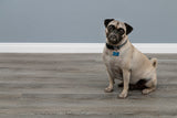 Vinyl Mute Step - Breakwater Oak
