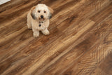 Vinyl Classic - Koa Accent